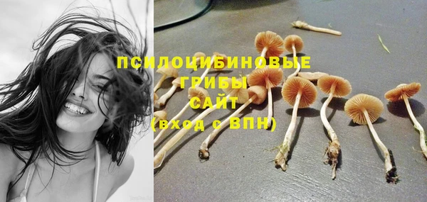 амфетамин Инсар