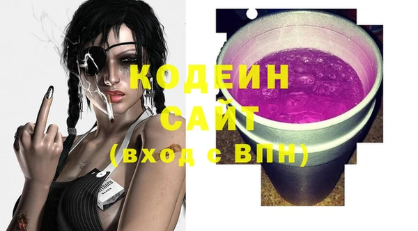 бошки Иннополис