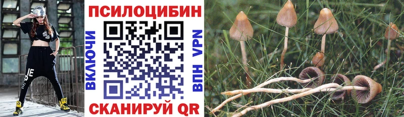 Псилоцибиновые грибы ЛСД  Таганрог 